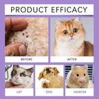 Pet Flea Tick Repellent Spray Waterproof Fur Clean Relieve Skin Itching Remove Mite Lice Dogs Cats External Insect Spray 50ml