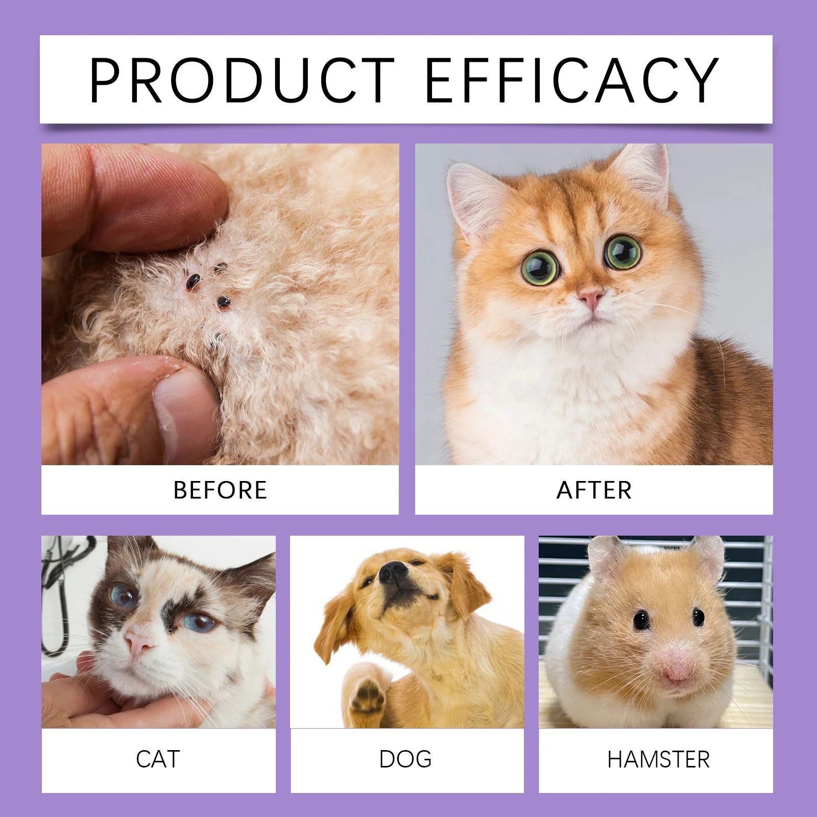 Pet Flea Tick Repellent Spray Waterproof Fur Clean Relieve Skin Itching Remove Mite Lice Dogs Cats External Insect Spray 50ml