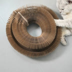 Wear-Resistant Cat Scratch Ball Board Toy — Transformable Crumb-Free Scratching Toy