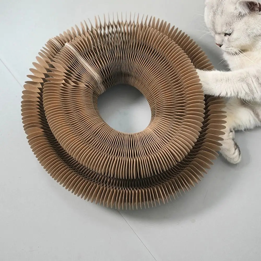 Wear-Resistant Cat Scratch Ball Board Toy — Transformable Crumb-Free Scratching Toy