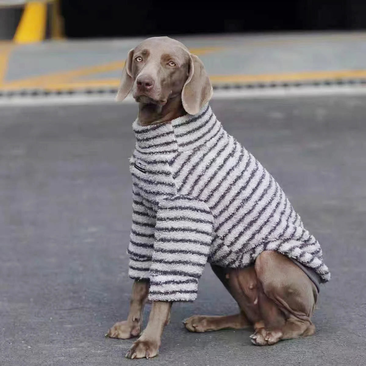Fleece Turtleneck Dog Sweater