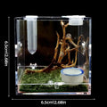 Small Reptile Feeding Box Transparent Acrylic Jumping Spider Breeding Box Habitat Small Insect Container Humidifier Feeding Box