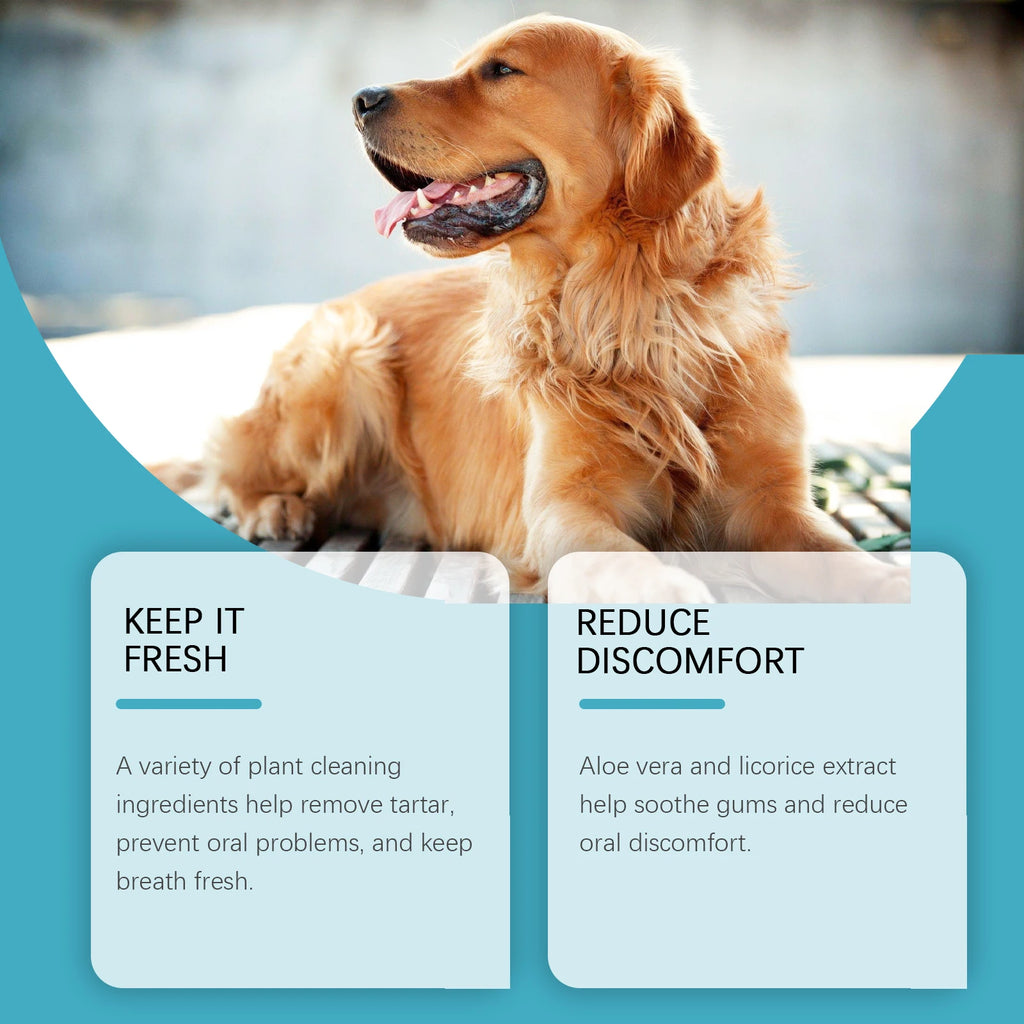 Reduces Oral Discomfort Pet Oral Cleaning Gel Prevents Oral Problems Removes Tartar Cleans Pet Teeth Freshens Breath Toothpaste