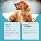 Reduces Oral Discomfort Pet Oral Cleaning Gel Prevents Oral Problems Removes Tartar Cleans Pet Teeth Freshens Breath Toothpaste