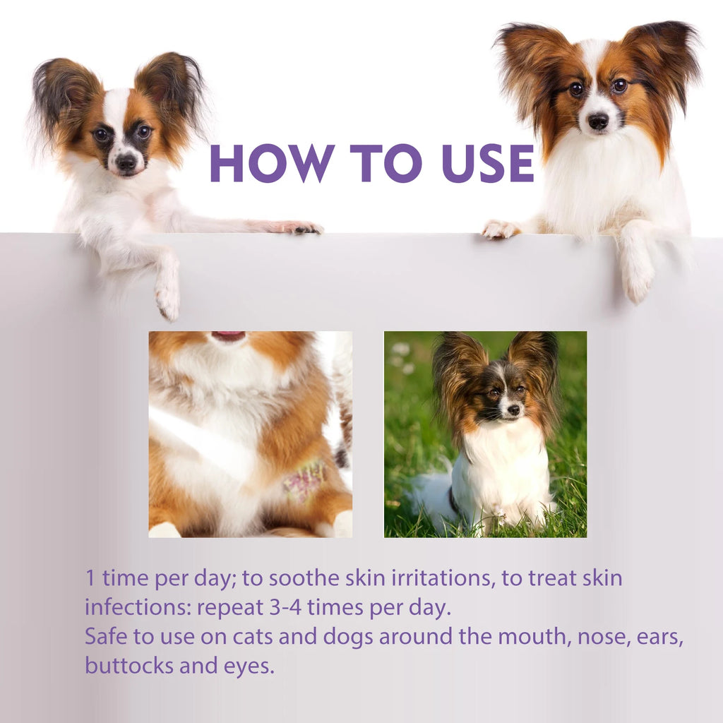 Pet Skin Relief Spray Effectively Removing Mite Relieve Skin Itching Discomfort Eliminate Local Inflammation Pet Skin Care Spray