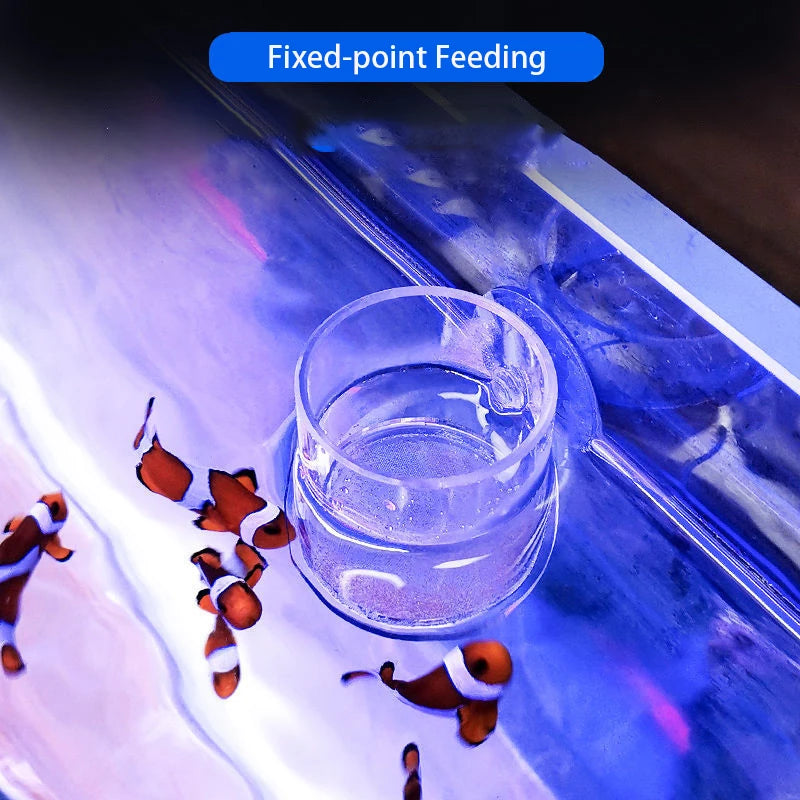 Acrylic Aquarium Fish Feeding Ring (Anti-Drift, Transparent, Floating Food Station)