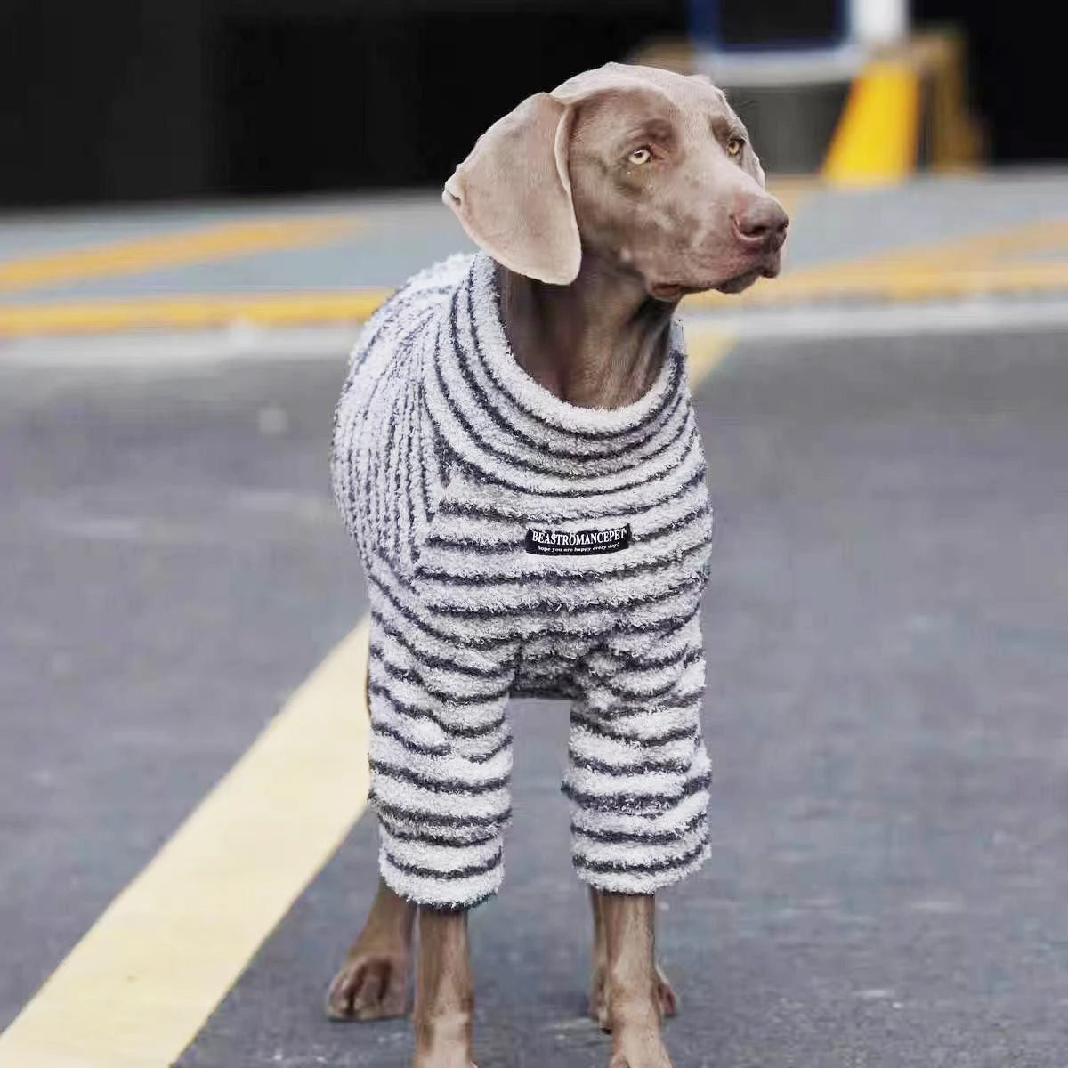 Fleece Turtleneck Dog Sweater