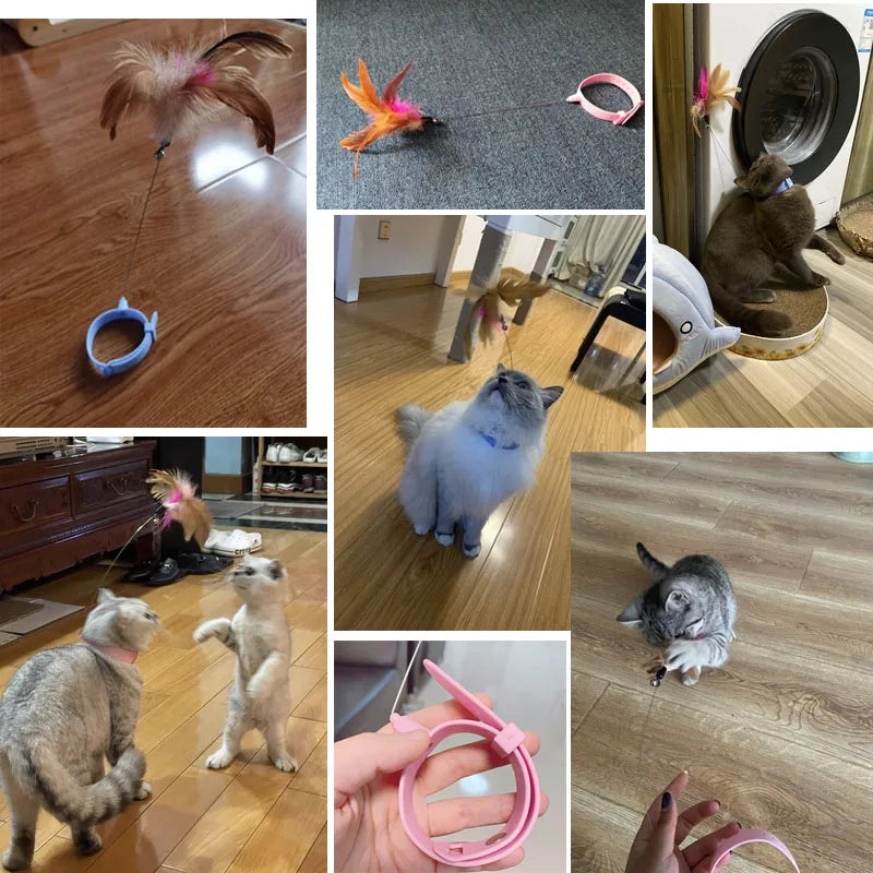 Feather Teaser Wand with Bell & Pet Collar — Interactive Kitten Training Toy for Cats
