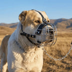 Metal Basket Dog Muzzle (Vet Visit, Anti-Eat, Easy Clean)