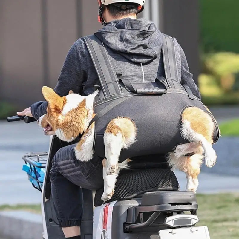 Senior Dog Carry Slings for Leg Support Adjusting Dog Lift Harness for Long Trip