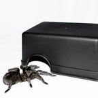 Reptile Hiding Cave Turtle Lizard Snake Hide Rest Cave Reptiles Toys Basking Hide Habitat Aquarium Landscaping Terrarium Decor