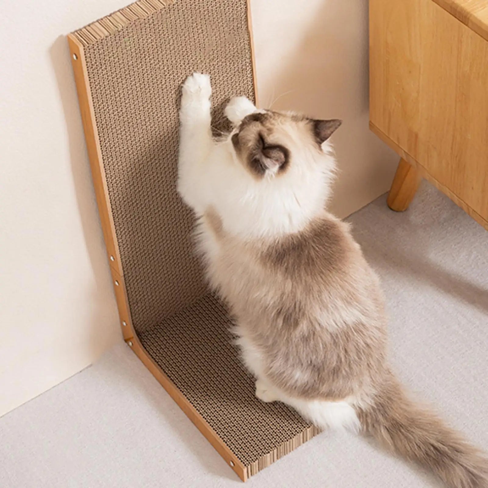 Large Cat Scratcher Nest Bed & Scratch Pad — Durable Indoor Cat Toy & Furniture