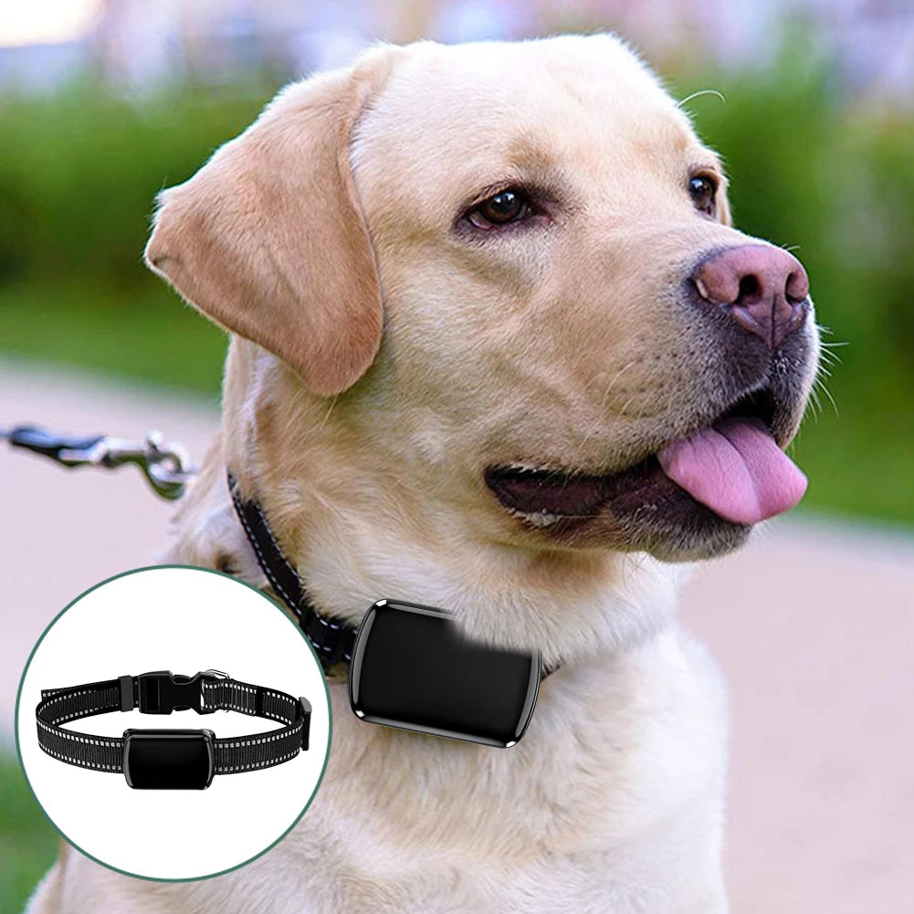 Smart GPS Cat Locator Collar with Adjustable Fit - Real-Time Anti-Loss Tracking for Cats & Dogs