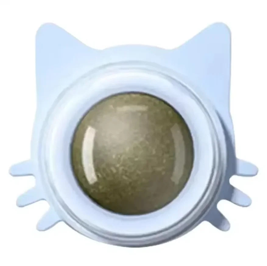 Natural Catnip Wall-Spin Ball Cat Toy — Mint Digestive & Dental Stimulator