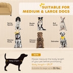 Pearl Design Pet Sofa with Solid Wood Legs (Coffee)