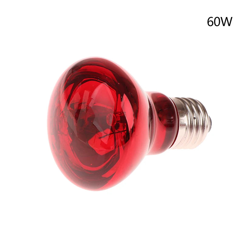 E27 UVA Poultry Bulb Infrared Night Light Day Poultry Heating Bulb For Plants Amphibians Reptile Pets 25/40/50/60/75/100W