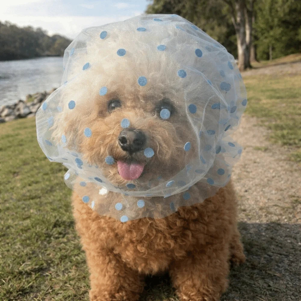 Breathable Mesh Pet Anti-Mosquito Headgear (Adjustable, Love/Wave Pattern)