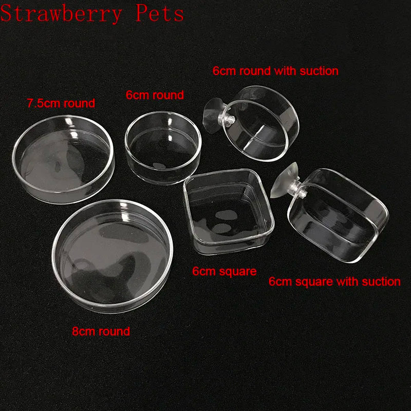Glass Aquarium Shrimp Feeding Ring & Feeder Dish (Transparent, Floating, Bottom Use)