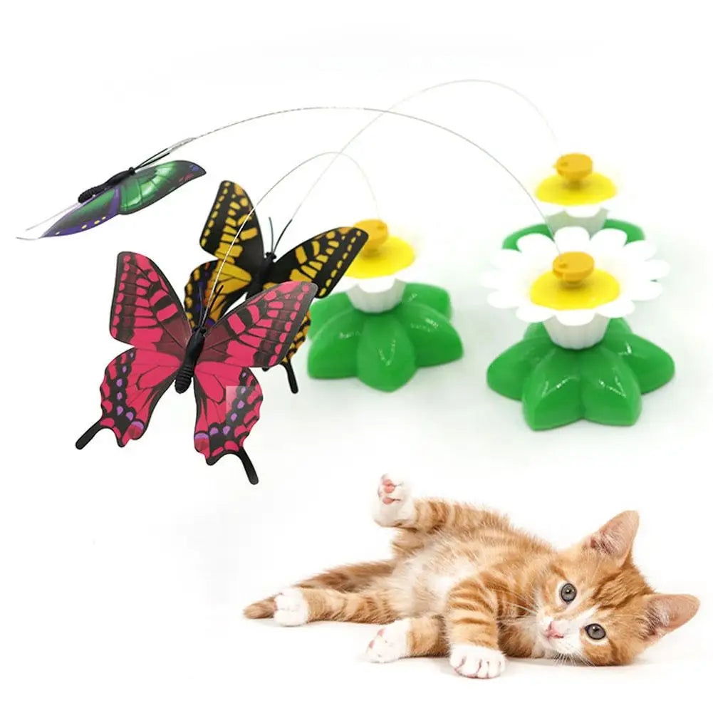 Electric Rotating Butterfly & Hummingbird Cat Teaser Wand — Automatic Flying Kitten Toy