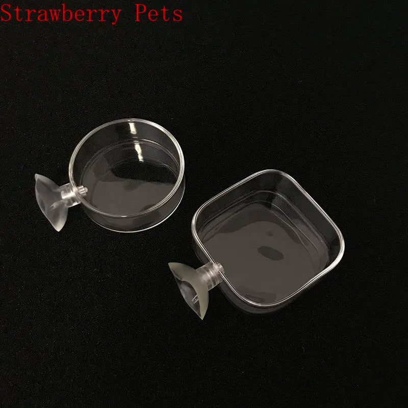 Glass Aquarium Shrimp Feeding Ring & Feeder Dish (Transparent, Floating, Bottom Use)