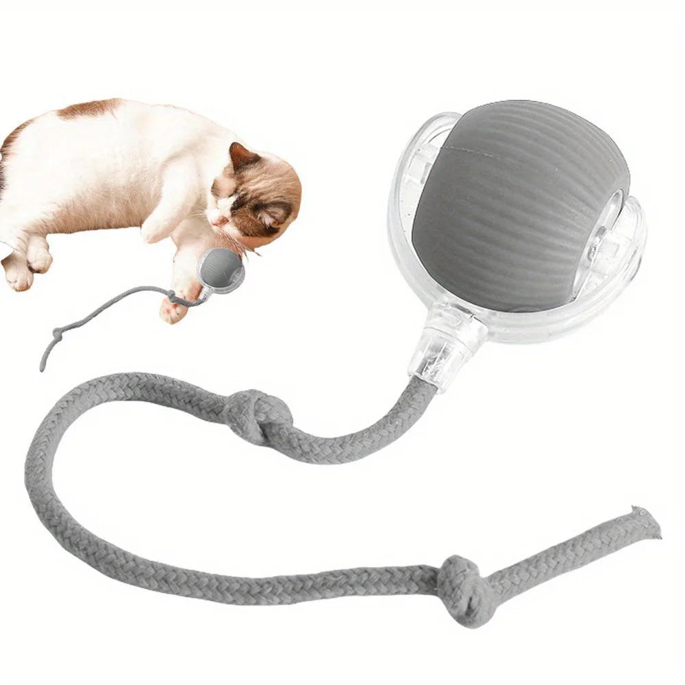 Smart Rolling Ball Toy with Faux Tail