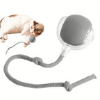 Smart Rolling Ball Toy with Faux Tail