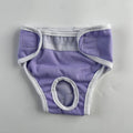 Breathable Dog Physiological Pants Leak-proof Adjustable Dog Menstrual Pants Reusable Highly Absorbent Dog Sanitary Panties