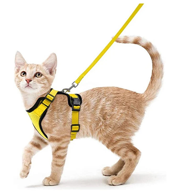 Anti-Escape Kitten Harness & Traction Belt — Lightweight Breathable Soft Vest for Walking Small Cats