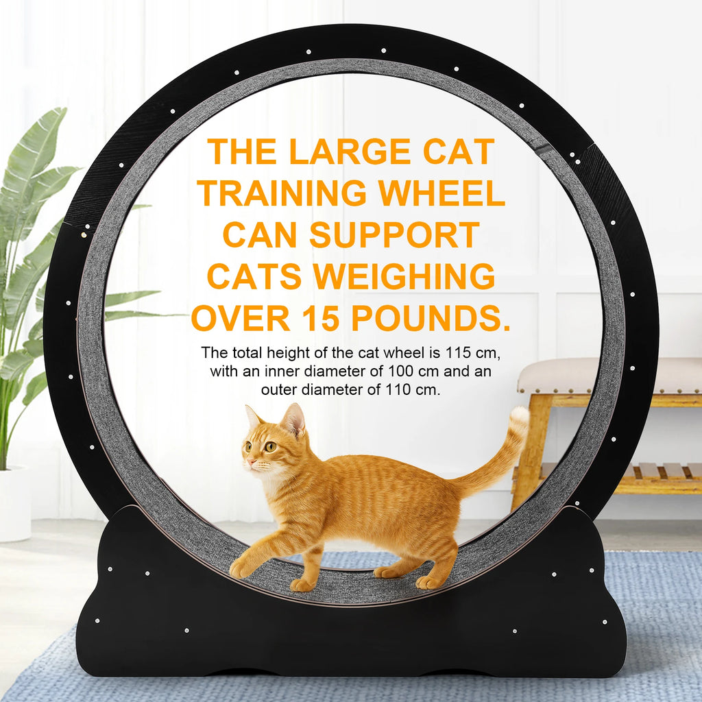 43-Inch Large Cat Exercise Running Wheel — Silent Indoor Cat Treadmill for Fitness & Play