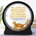 43-Inch Large Cat Exercise Running Wheel — Silent Indoor Cat Treadmill for Fitness & Play