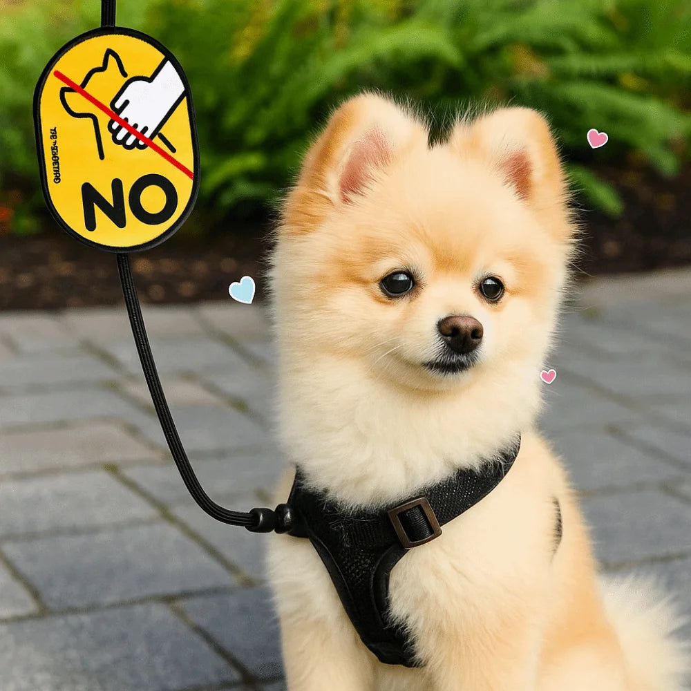 Waterproof Pet Social Sticker Tags (Cartoon, Double-Sided, 5 Styles)