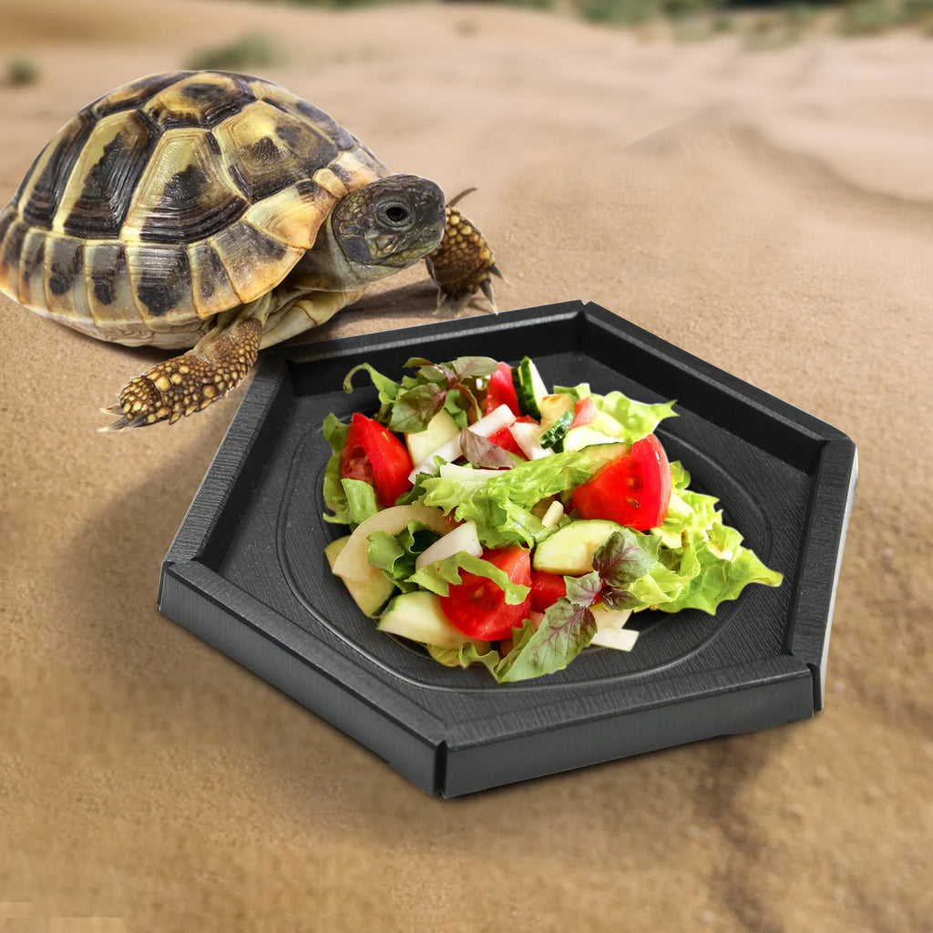 Black Plastic Material, Round and Hexagonal Reptile Lizard, Turtle Feeding Basin, Water Basin, Frog Bath Basin