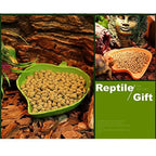 1PC Reptile Food Water Bowl Reptile Food Water Bowl Tortoise Habitat Accessories Water Plate For Turtle Lizards Hamsters Snakes