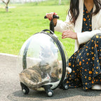 2026 Transparent Pet Luggage Large Capacity Handheld Pet Carrier Bag Portable Travel Cart for Cats Dogs