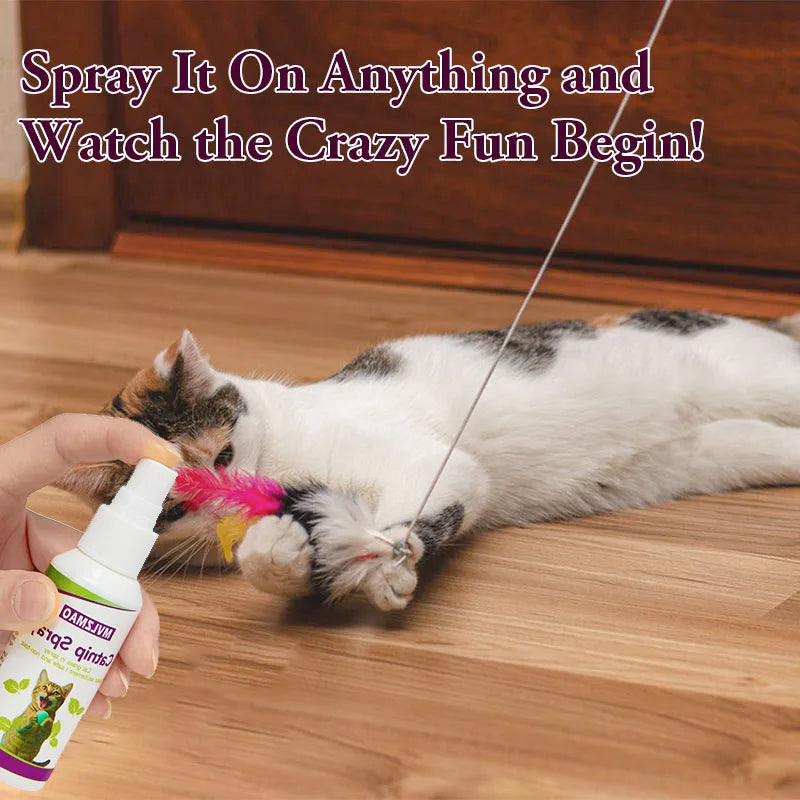 Catnip Behavior Spray for Cats (60ml)