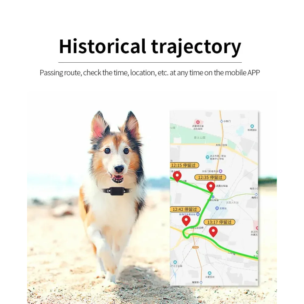 GSM & AGPS Waterproof GPS Pet Collar Tracker with Real-Time Calls & Remote Control - Locator for Cats & Dogs