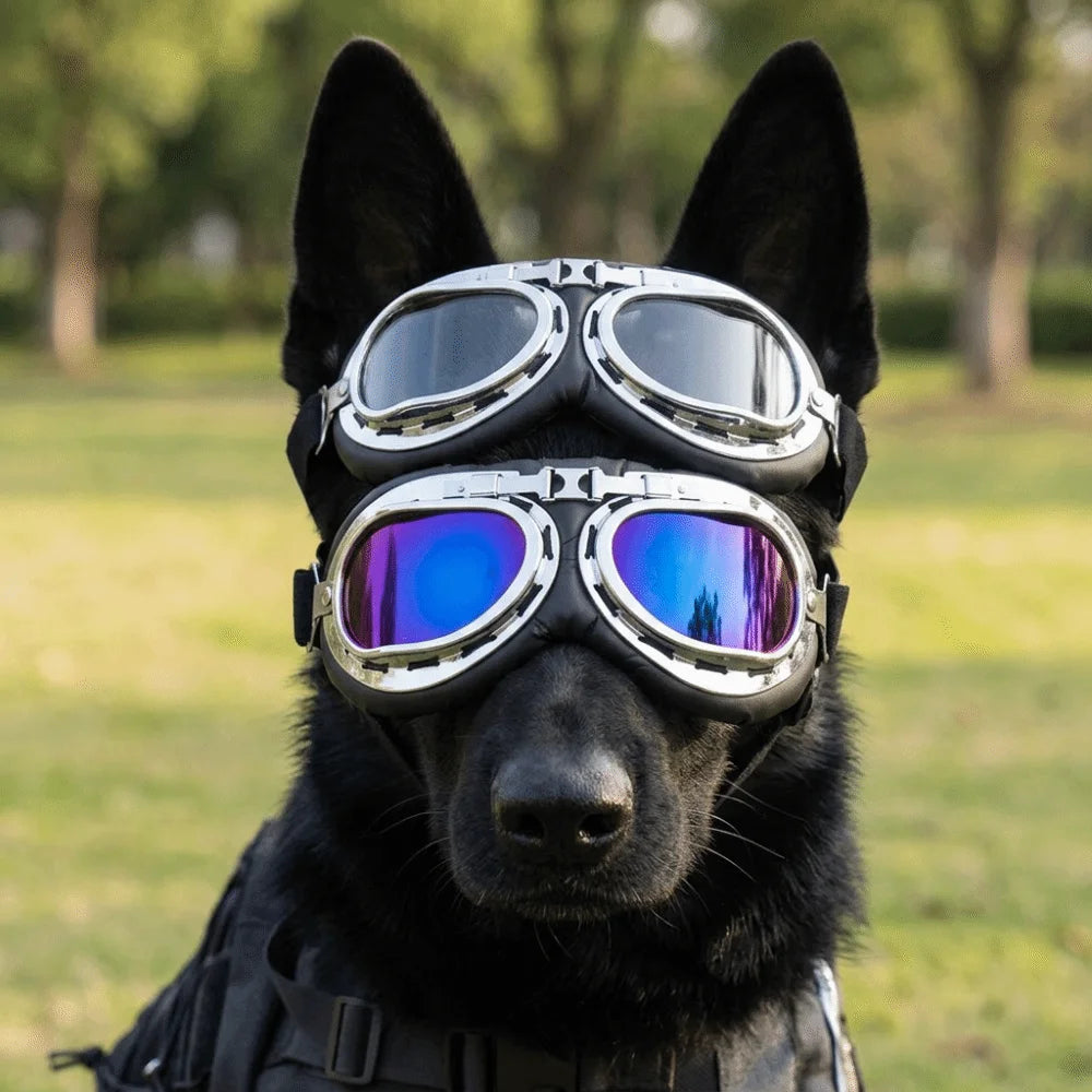 Oversized Frame Dog Eye Guard Sun Ray Block Shatter Tough Pet Eye Visor Wind Proof Comfort Fit Harley Style Eye Visor