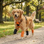 2pcs Soft Lining Pet Knee Brace Stretch Flexible Thermal Warm Keep Joint Recovery Sleeve Breathable Fabric Adjustable Fit