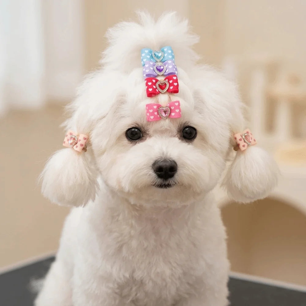 Heart-Shaped Pet Bow Hair Ties 20-Pack (Rhinestone, Elastic Band)