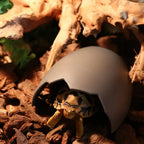 Reptile Hide Cave Plastic Durable Spider Snake Lizard Tortoise Hamster Houses Pet Cave Accessories
