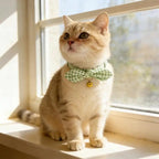Heart Pet Collar with Flower Design for Cats — Comfortable Stylish Cat Collar