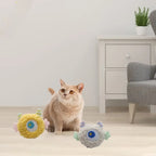 Catnip-Filled Colorful Plush Cat Chew Toy — Bite-Resistant Teeth Grinding Toy for Kittens
