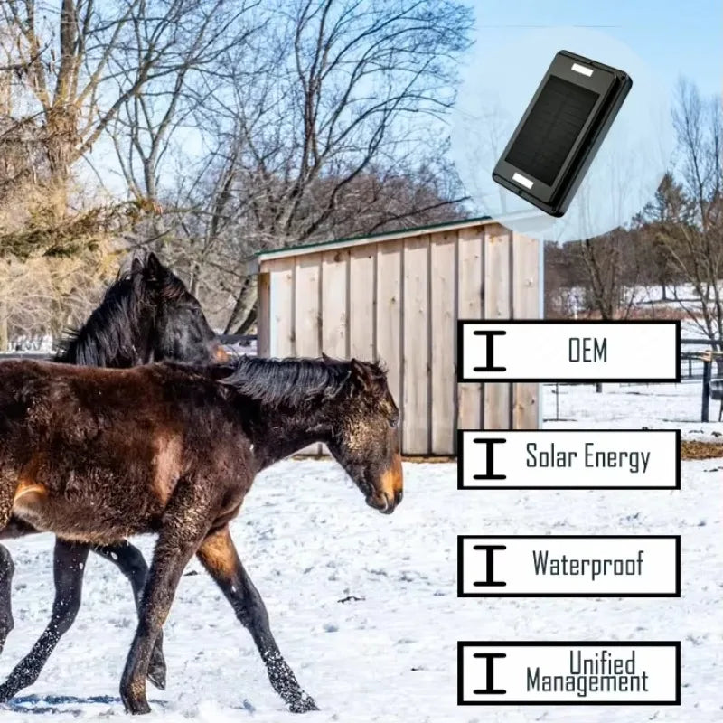 4G Solar GPS Collar Tracker for Livestock & Cattle with 20,000mAh Battery - IP67 Waterproof