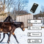 4G Solar GPS Collar Tracker for Livestock & Cattle with 20,000mAh Battery - IP67 Waterproof