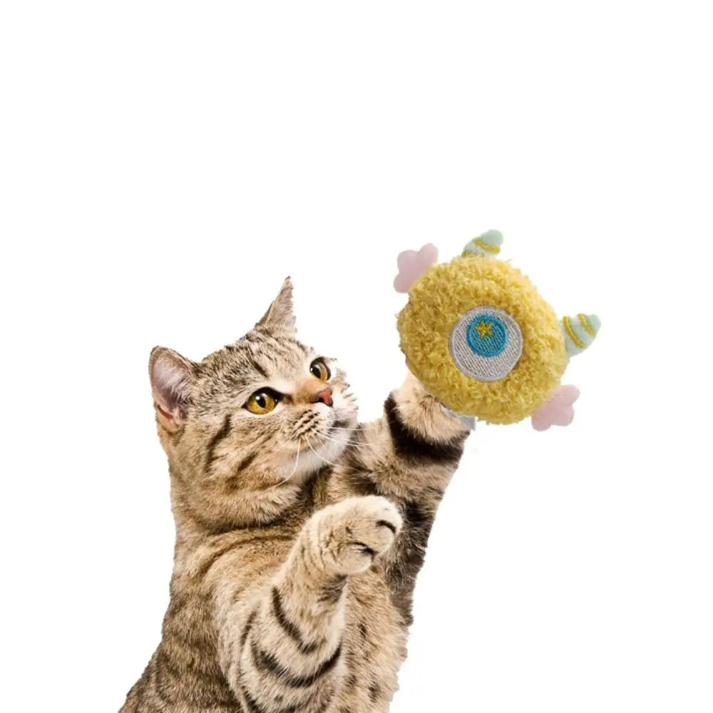 Colorful Catnip-Filled Soft Cat Chew Toy — Bite-Resistant Teeth Grinding Plush Toy for Cats