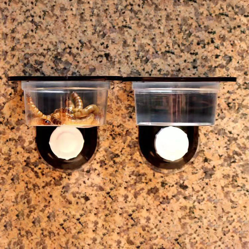 Crested Gecko Feeding Ledge Reptile Food Bowls and Water Dish for Feeder Ledge Accessories Supplies