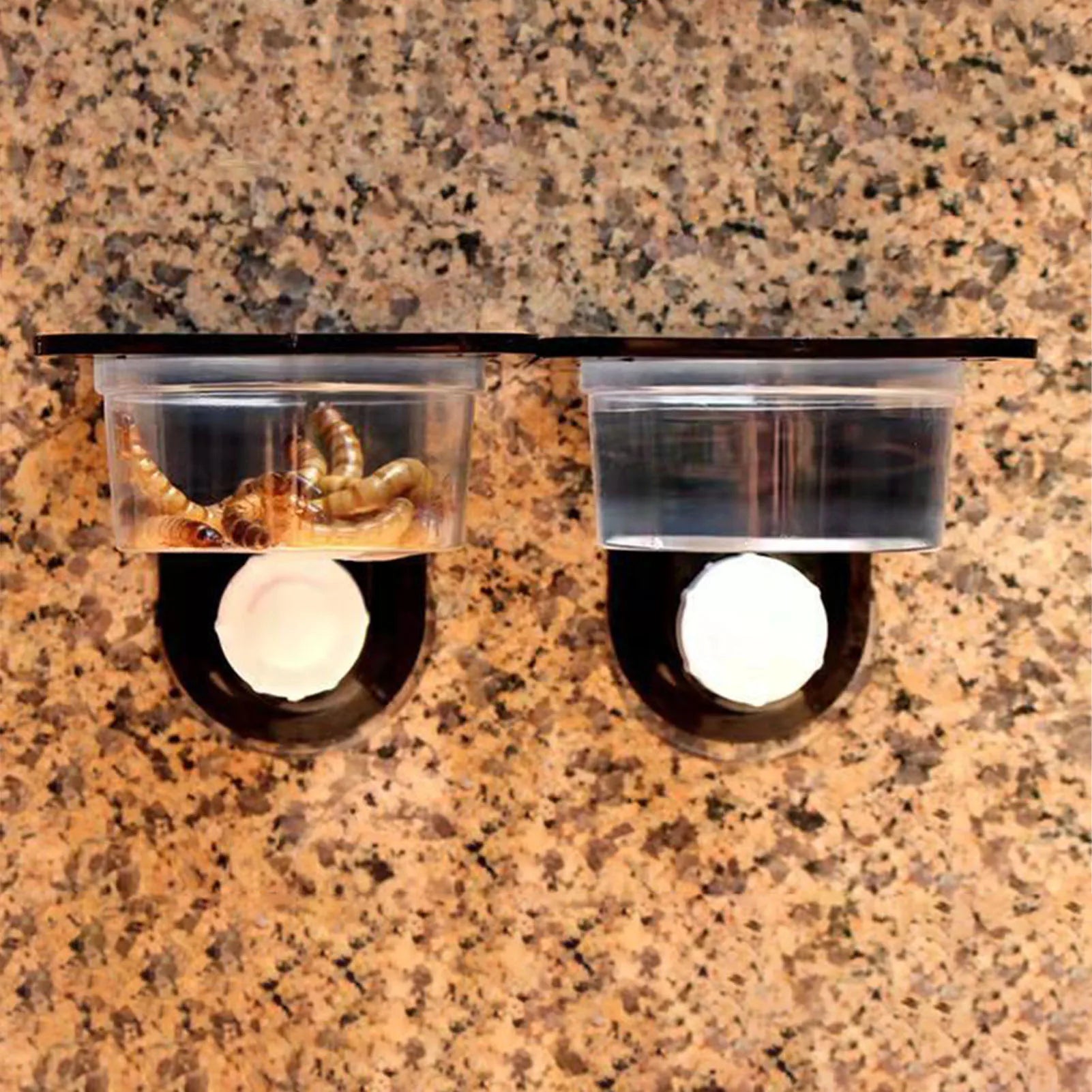 Crested Gecko Feeding Ledge Reptile Food Bowls and Water Dish for Feeder Ledge Accessories Supplies