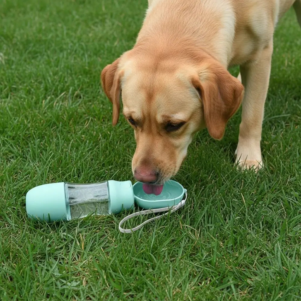 Leak-proof Outdoor Dog Water Bottle Sealed with Filter Dog Water Dispenser Detachable Press Design Dog Water Food Cup Puppy
