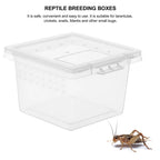 20 Pcs Reptile Enclosure Tank Clear Box Small Cage Plastic Container Feeding Snake Lizard Terrarium Insect Breeder Pet