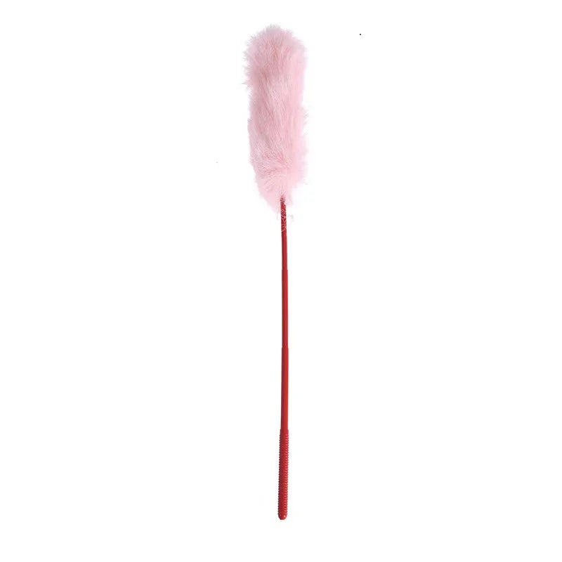 Feather & Bell Cat Teaser Stick with Collar — Self-Play Interactive Wand for Kittens & Cats